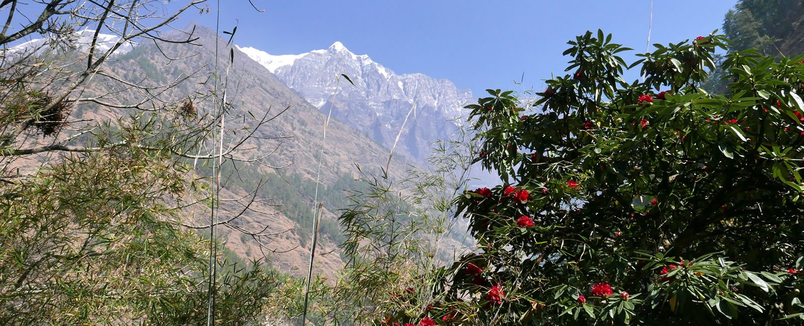 manaslu-trek